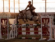 Berlin dei Folletti TosTour2013- S5 3203 : Arezzo, Arezzo Equestrian Centre, Berlin dei Folletti, Cavalli d'Italia, Toscana Tour 2013, foto di Stefano Secchi ©